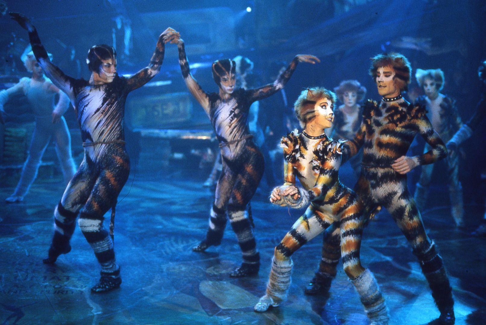 Stream Cats Filmed On Stage